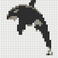 orca.webp