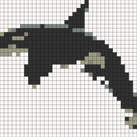 orca.webp
