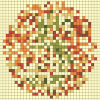 color blindess test 1