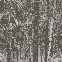 Copy of winter woods haliburton.jpg