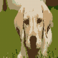 734899052_13956580111-4185811281.jpg