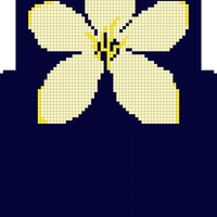 Orchid Final Draft