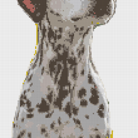 Screenshot_20251125_144012_Gallery.jpg