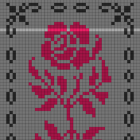 1000053329.jpg
