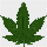 Copy of cannabis-306291_960_720.webp