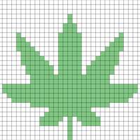weed plant