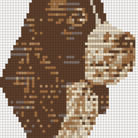 IMG_1581.png