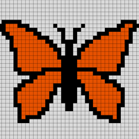 butterfly