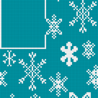 Special Snowflake Socks