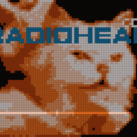 Radiohead Cat for Sam(cropped).jpg