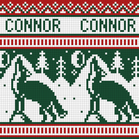 Connor's Stocking