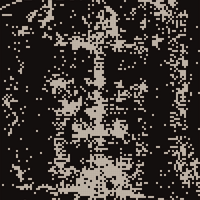 IMG_5246.jpeg