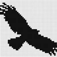 Flying eagle silhuette