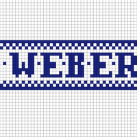 Weber Beanie