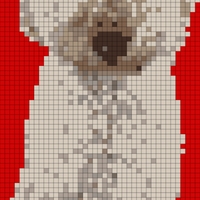 dog_cut red.jpg