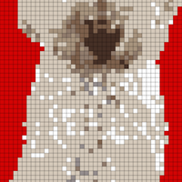 dog_cut red.jpg test 2