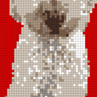dog_cut red.jpg