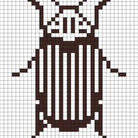 beetle chart