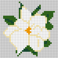 Magnolia