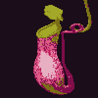 nepenthes.jpeg