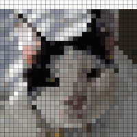 497733315_1371043784117115_2702449458031425393_n.jpg