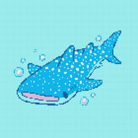 whale shark 2.jpeg