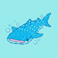 Copy of whale shark 2.jpeg