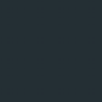 고래.jpeg