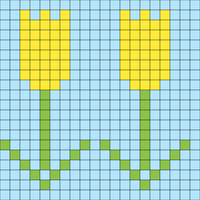 Tulipan