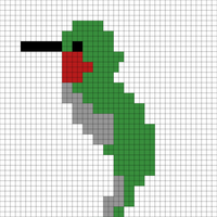 Ruby Throat Hummingbird