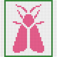 Moth