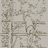 1000020491.jpg