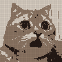 cat meme1.jpg