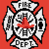 fd maltese.jpg