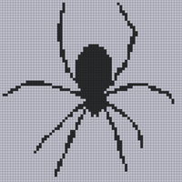 spider.jpg