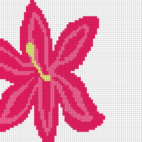 Copy of Copy of lily 