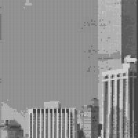 1B