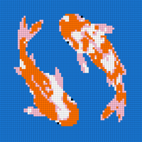 Copy of Copy of koi.jpeg