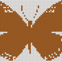 butterfly-insect-color-vector.jpg