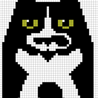 Cat front