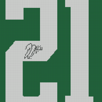 Copy of Jason Robertson Dallas Stars Autographed Kelly Green adidas Authentic Jersey.jpg