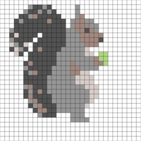 squirrel