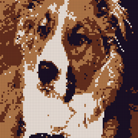 AF78FF2A-FD70-4387-A833-6E0DDC6415BF.jpeg