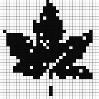 IMG_0275.png