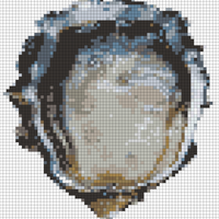 oyster shell colors