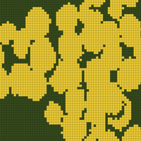 rainfarn