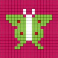 moth