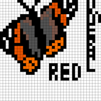 butterfly