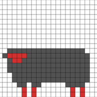 sheep
