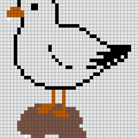 Copy of seagull-standing-on-rock-YzJVTp0z_t.jpg